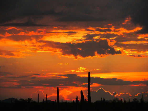 Tucson